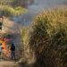 La Provincia fortalece la prevención de la quema de cañaverales y asistirá a pequeños productores