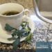 El ministerio de Salud recuerda que el té de ruda no está recomendado para niños, embarazadas ni adultos mayores