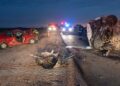 Un micro que llevaba a un equipo de fútbol femenino infantil chocó de frente con un auto en Córdoba: hay dos muertos y 16 nenas heridas