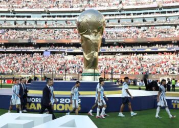 El Gobierno descartó actos y celebraciones por el regreso de la Selección argentina