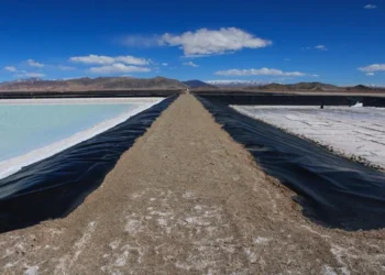El BID financiará con US$700 millones un proyecto de litio entre Salta y Catamarca