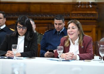 Avila pide informes sobre la obra social de las fuerzas armadas