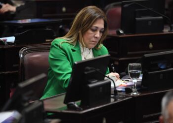 Beatriz Ávila votó en contra de la Ley de Inviolabilidad de la Propiedad Privada