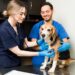 Día del Veterinario argentino: ¿por qué se conmemora hoy?