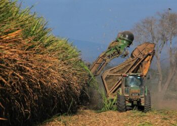Jaldo destacó el avance del proyecto de ley de biocombustibles en el Congreso