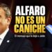 Alfaro no es un caniche