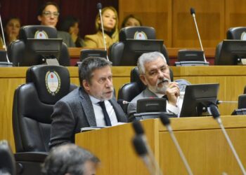 Bussi y Verón Guerra impulsan restricciones al juego y los espectáculos deportivos para deudores alimentarios