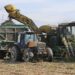 La molienda de caña alcanza los 16 millones de toneladas en Argentina