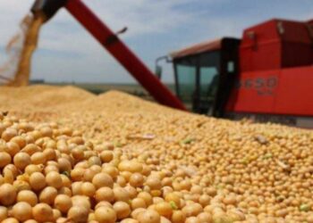 UATRE alerta que 120 mil puestos de trabajo rural están en riesgo por el fin de un régimen de compatibilidad