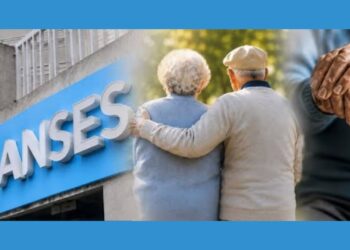 ANSES actualizó jubilaciones, pensiones y asignaciones: cuánto se cobrará desde octubre