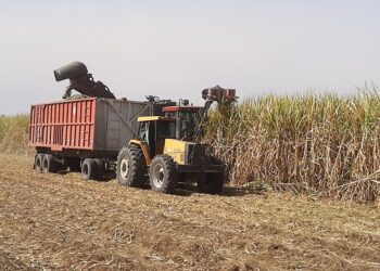 Con 143 días de molienda, Argentina supera los 18,3 millones de toneladas de caña