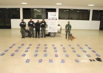 Incautan 48 kilos de cocaína ocultos en el doble fondo de una camioneta en Tucumán