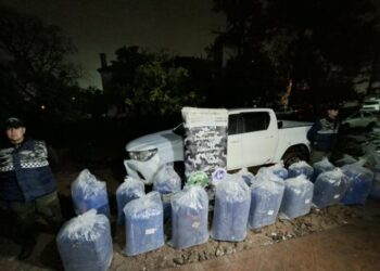 Tras una persecución interceptaron dos camionetas y secuestraron cerca de una tonelada de hojas de coca