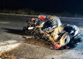 Fatal accidente en Macomitas: el conductor de una motocicleta falleció tras ser atropellado por un camión